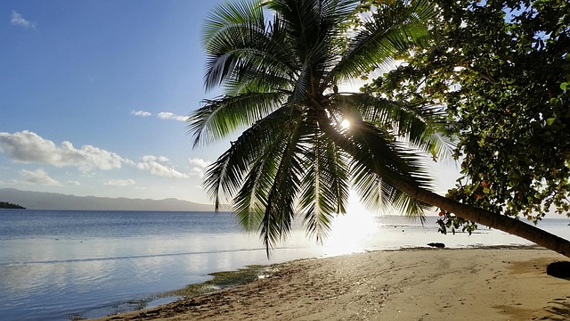 visa-free countries for Indians Fiji