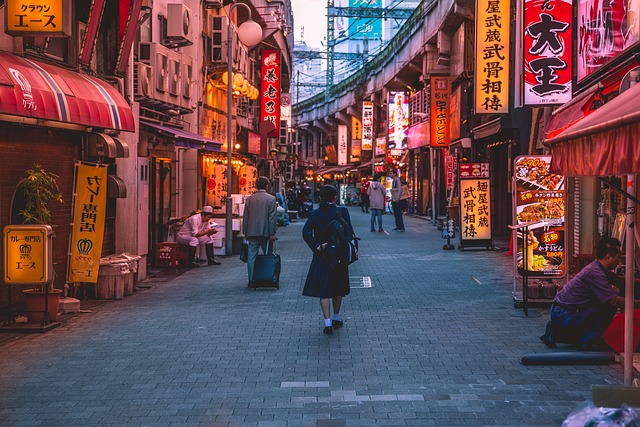 A traveler in Japan