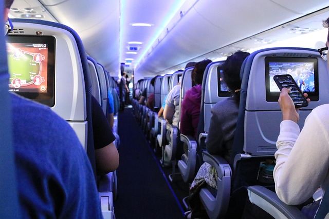 Long Flight Survival Guide